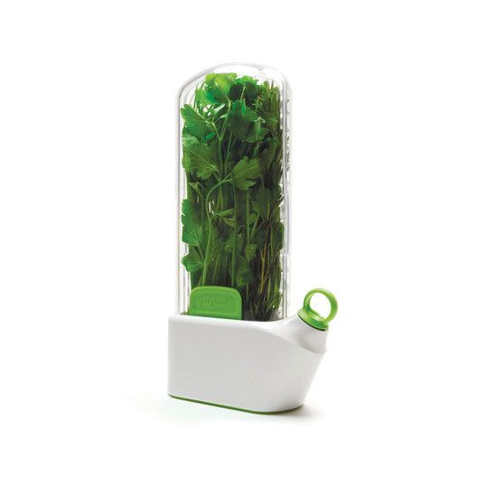 kitchen herb keeper