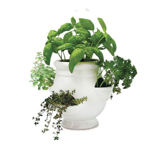 kitchen herb planter