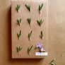 rosemary decoration thumbnail