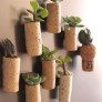 succulent cork planters thumbnail