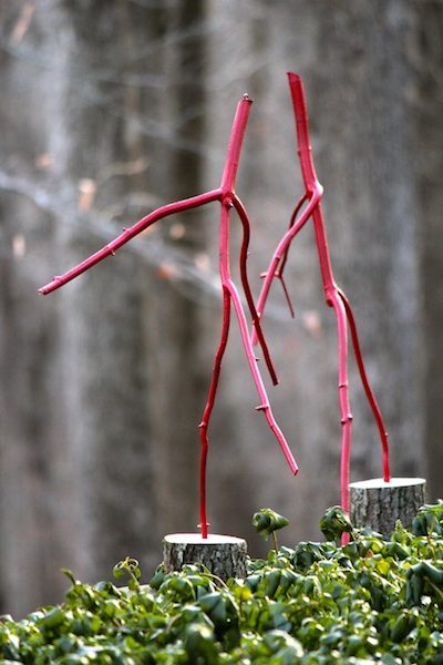 winter garden diy