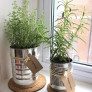 DIY---Indoor-Herb-Garden- thumbnail