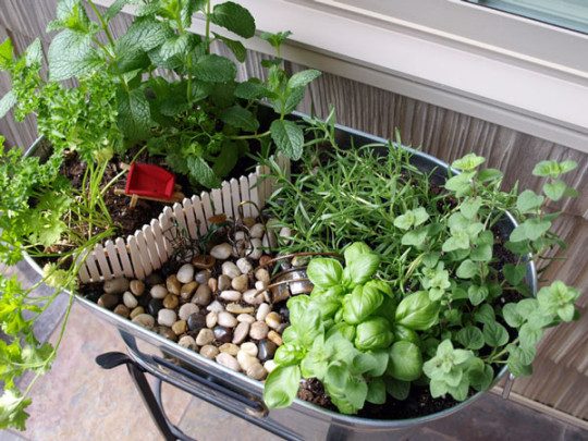 DIY-Indoor-Herb-Garden