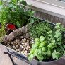 DIY-Indoor-Herb-Garden thumbnail