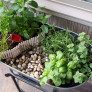 DIY-Indoor-Herb-Garden thumbnail