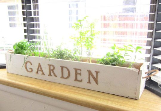 DIY-Indoor-Herb-Gardens