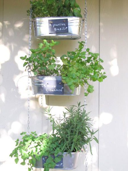 Grow-indoor-garden-box