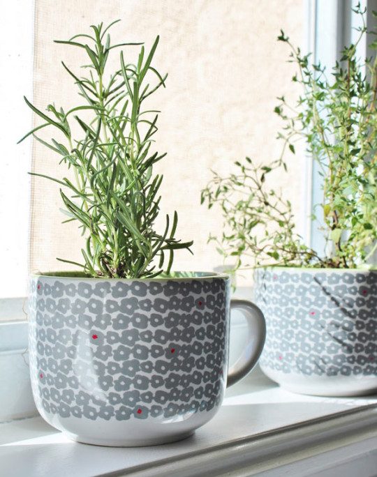 How-To--Make-a-Coffee-Mug-Indoor-Herb-Garden