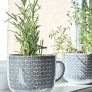 How-To--Make-a-Coffee-Mug-Indoor-Herb-Garden thumbnail