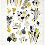 Root-Vegetable-Tea-Towel thumbnail