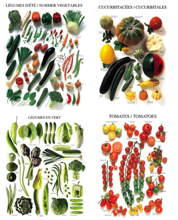 Vegetable picture chart