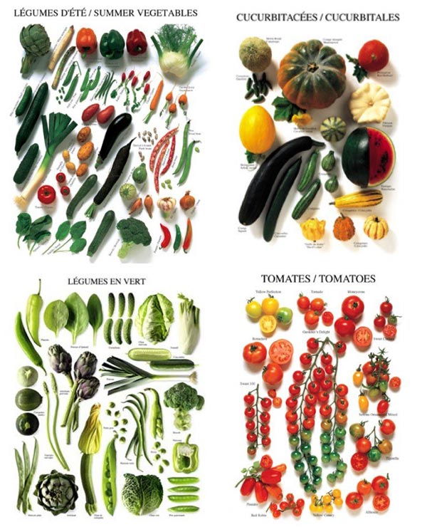 Summer Vegetables Chart