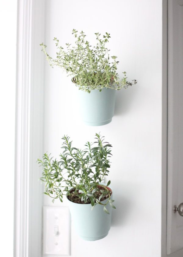 8 Herb Garden DIYs to Keep Your Favorite Flavors at Hand