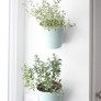 cultured.---DIY--Indoor-Herb-Garden thumbnail