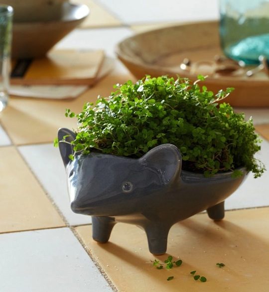 ceramic indoor planters