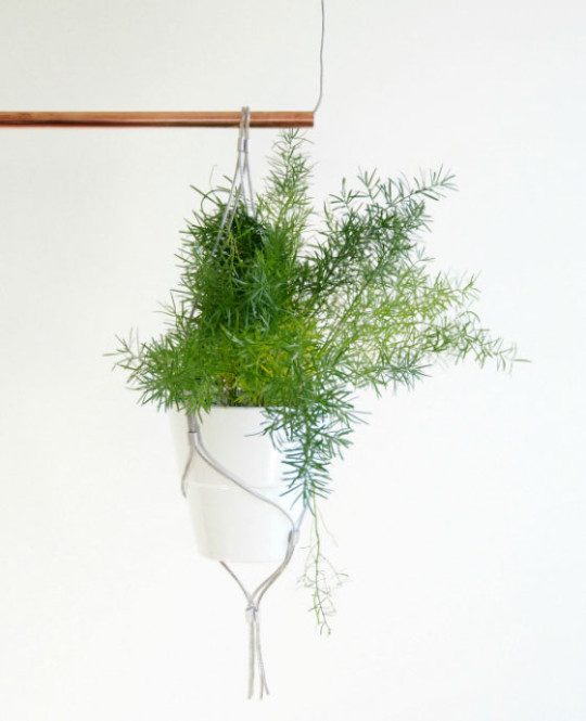 inspiring-and-easy-indoor-gardens