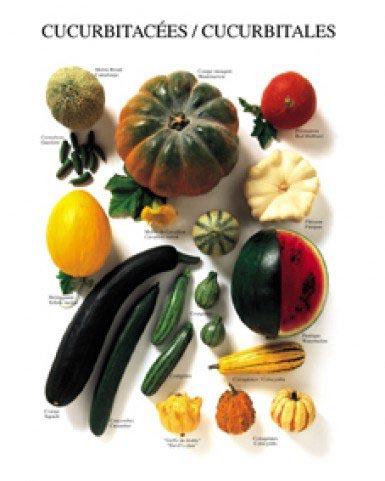 kitchen vegetable chart