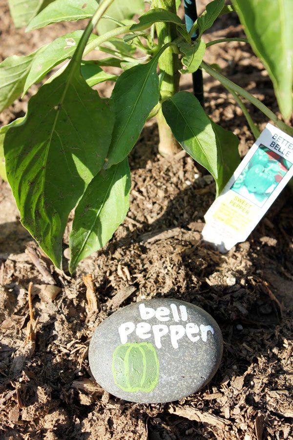 diy Garden Markers