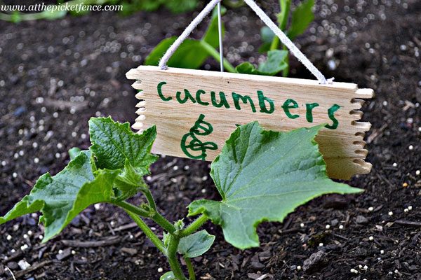 Hanging Garden Markers