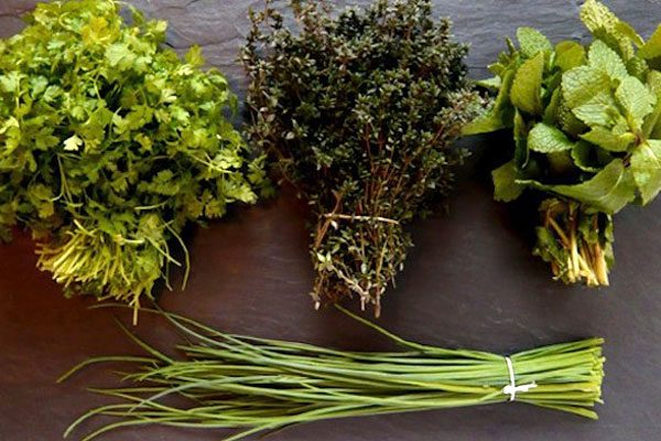 How-to-using-fresh-herbs