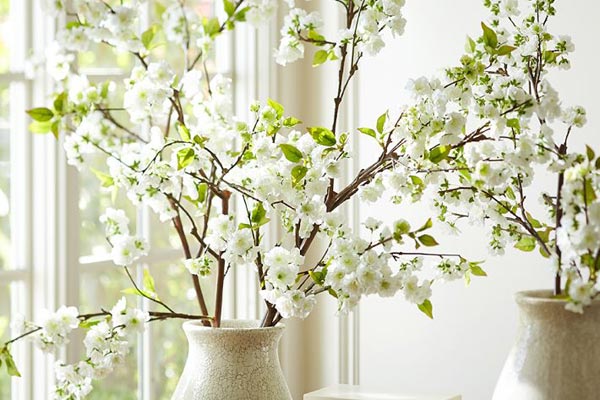 cherry-blossom-branches
