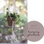 diy hanging herb planter thumbnail
