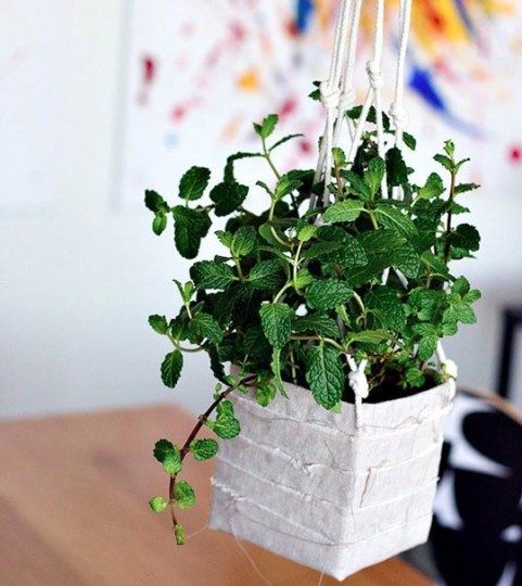 diy hanging planters