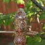 recylced wooden spoon bird feeder thumbnail