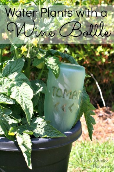 Wine Bottle garden crafts