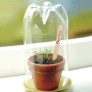 bottle craft greenhouse planter thumbnail