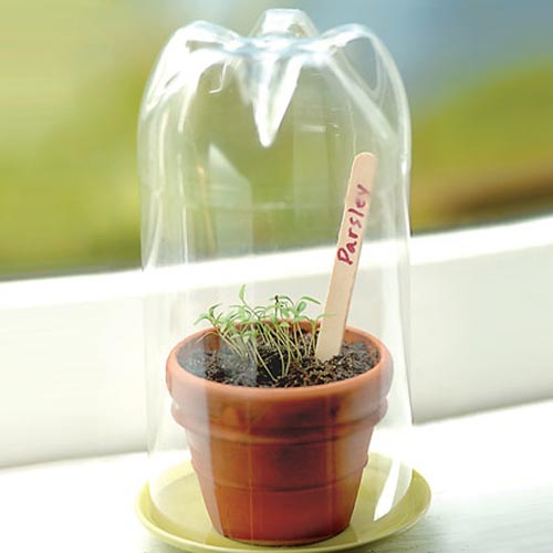 bottle craft greenhouse planter