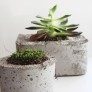 diy garden planters crafts thumbnail