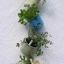 diy hanging herb planters thumbnail