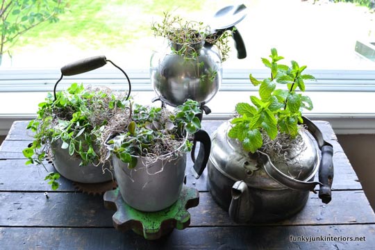 diy herb gardens