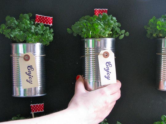 diy herb planters