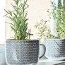 diy kitchen herb gardens thumbnail