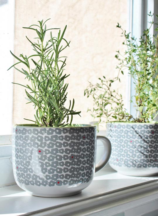 diy kitchen herb gardens