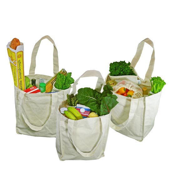 10 Chic & Reusable Grocery Tote Bags — Eatwell101