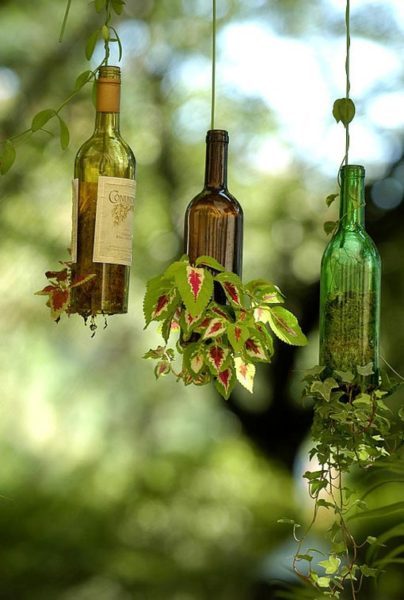 planter wine bottle