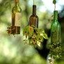 planter wine bottle thumbnail