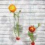 recycled plastic bottle planter thumbnail