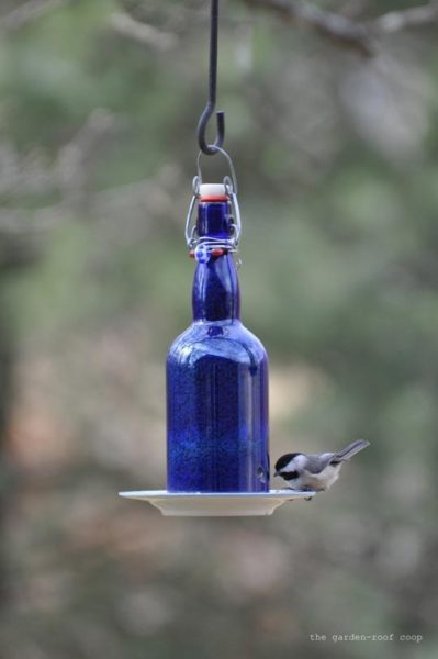 recycled wine bottle bird feeder