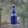 recycled wine bottle bird feeder thumbnail
