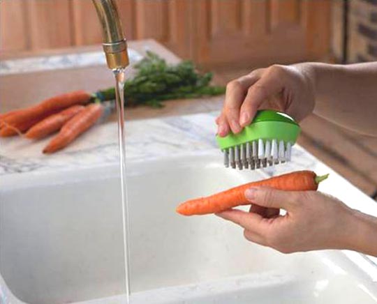 5 Vegetable Brushes You Can Rely On — Eatwell101