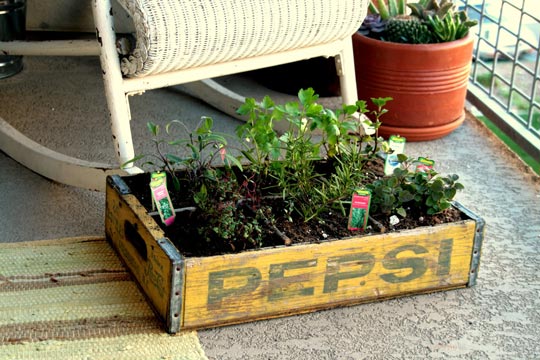 wooden crate herb garden