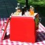 best-Picnic-Cooler thumbnail