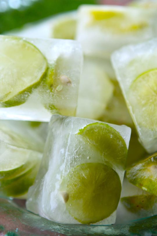 citrus ice cubes