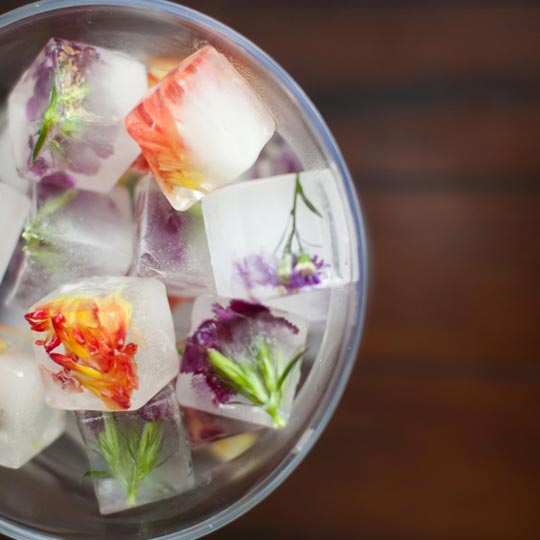 diy floral ice cubes