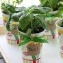 diy herb planter thumbnail