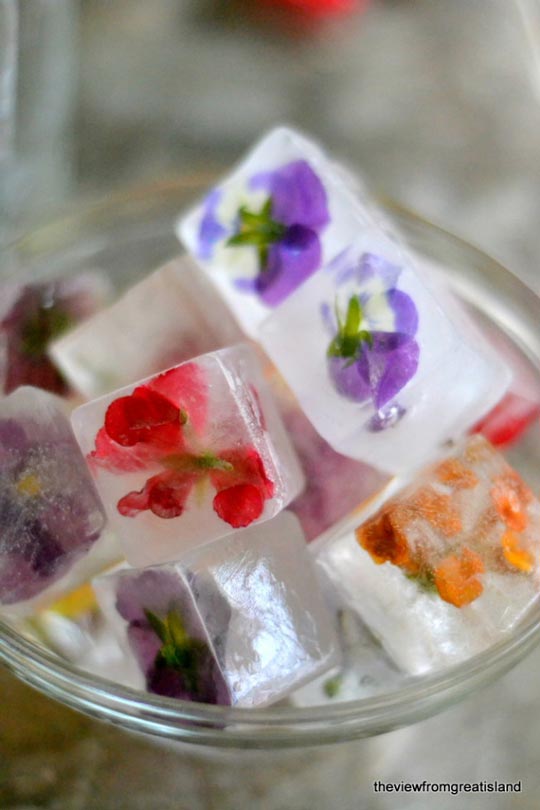 fruit infused ice cubes